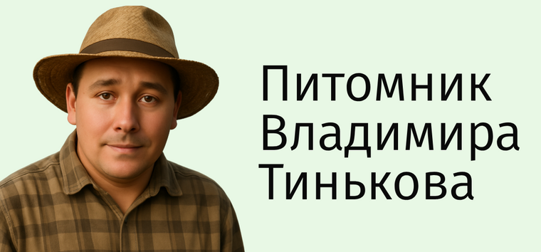 Питомник Владимира Тинькова