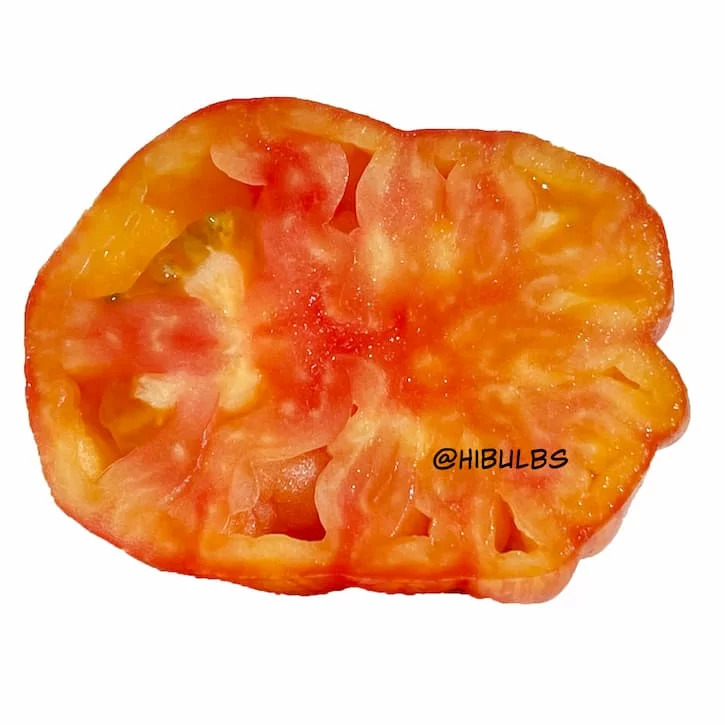 Томат Джаз восход (Sunrise Jass, США) (6шт)
