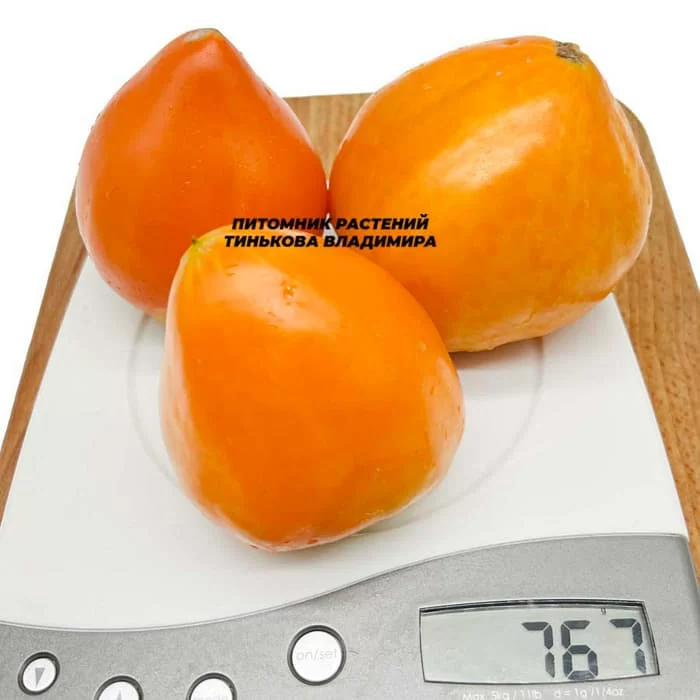Томат Немецкая оранжевая клубника (German Orange Strawberry, Германия) (6шт)