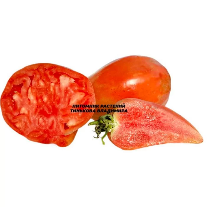 Томат Древнее сердце Акви Терме (Pomodoro Cuore Antico di Acqui Terme, Италия) (6шт)