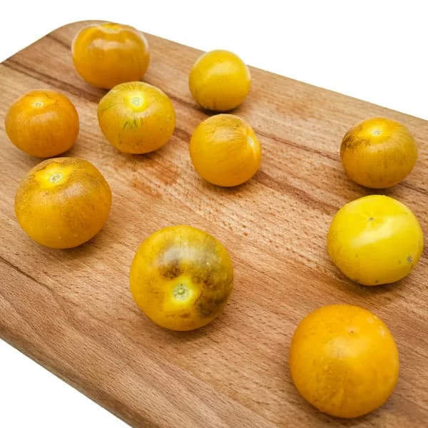 Томат Золотой тигр (Golden Tiger) (6шт)