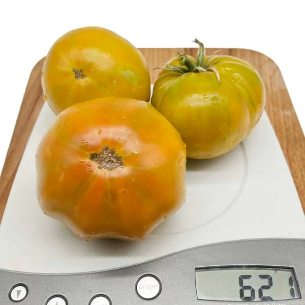 Томат Большой зеленый Макса (Max's large green, США) (6шт)