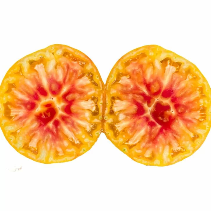 Томат Таксхорн (Tuxhorn’s Red and Yellow, США) (6шт)