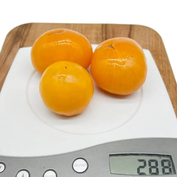 Томат Гном Золотое сердце (Dwarf Golden Heart) (6шт)