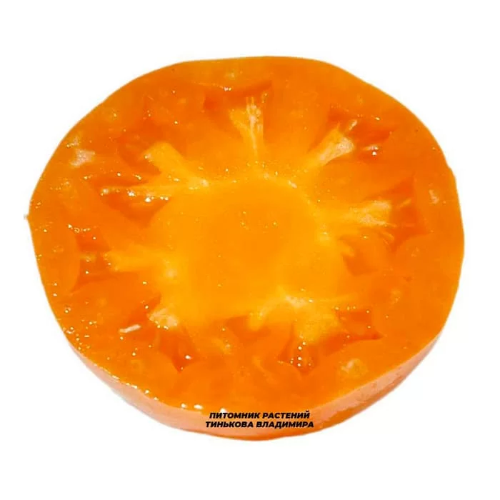 Томат Немецкий желтый Йодера (Yoder’s German Yellow, США) (6шт)