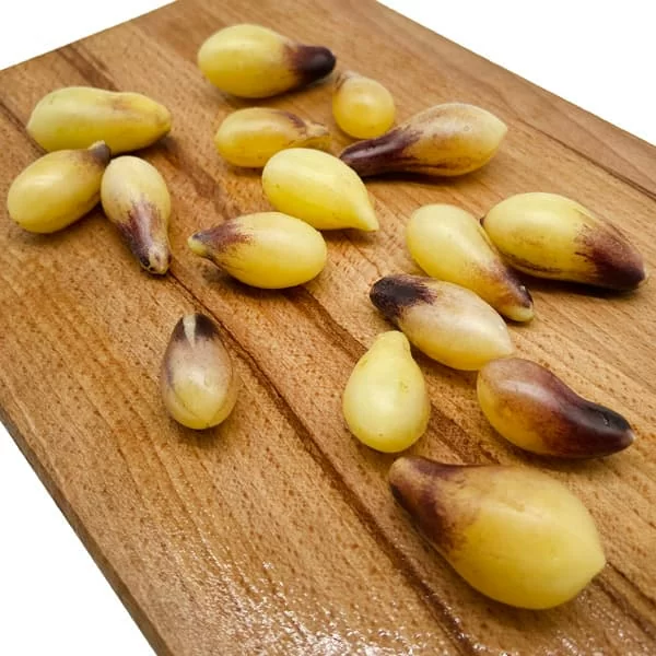Томат Индиго кумкват (Indigo Kumquat) (6шт)