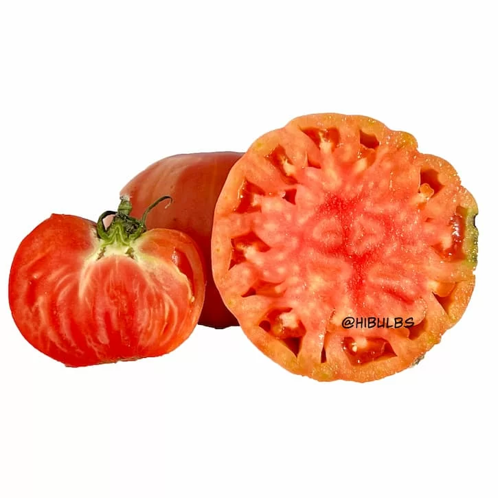 Томат Гигант Елены (Gigante di Elena, Италия) (6шт)