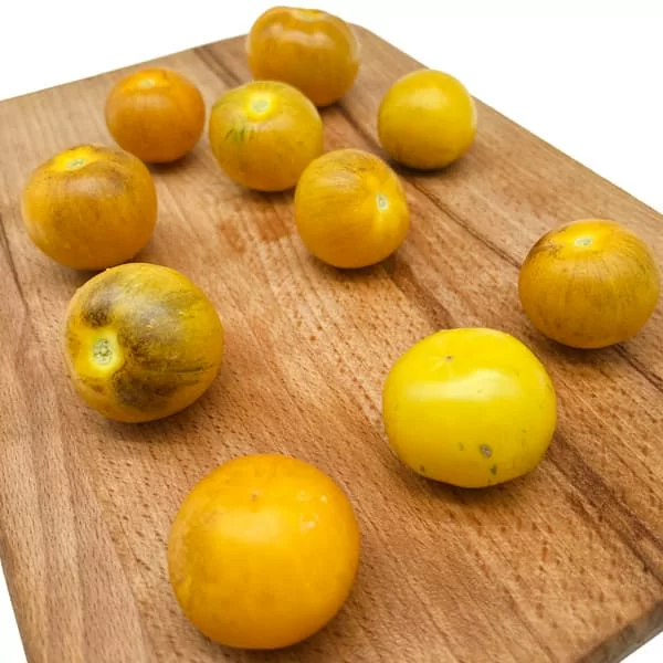Томат Золотой тигр (Golden Tiger) (6шт)