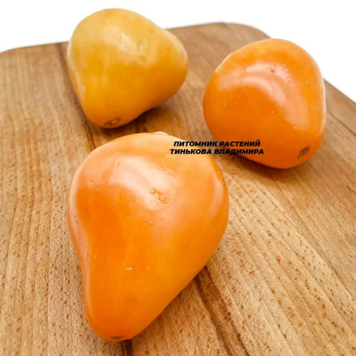 Томат Пастельное оранжевое сердце (Pastel Orange Heart, США) (6шт)