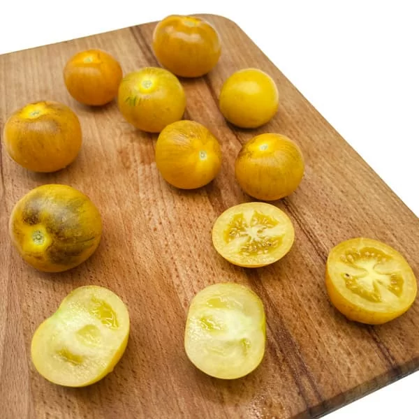 Томат Золотой тигр (Golden Tiger) (6шт)