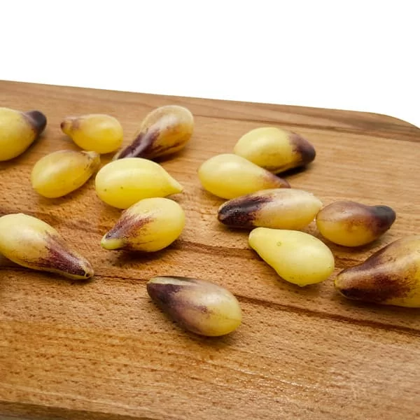 Томат Индиго кумкват (Indigo Kumquat) (6шт)