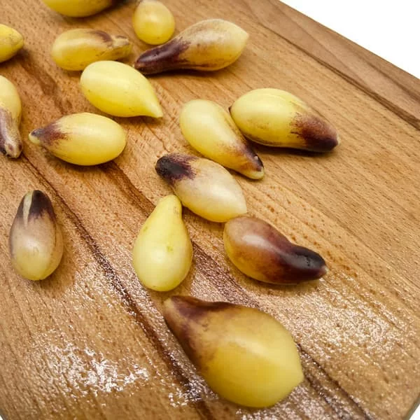 Томат Индиго кумкват (Indigo Kumquat) (6шт)