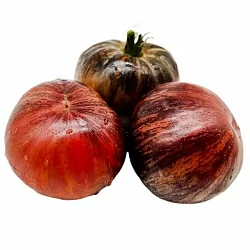  Томат Бифштекс Марши (Marsha s Starfighter Beefsteak) (6шт)