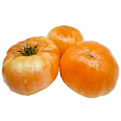  Томат Гигант Бельгии желтый (Giant Belgian Yellow, Бельгия) (6шт)