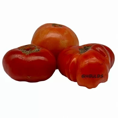 Томат Сицилийское блюдо (Sicilian Saucer, Италия) (6шт)