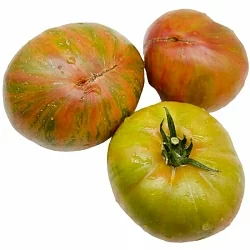  Томат Ананасная зебра (Ananas Zebra, США) (6шт)