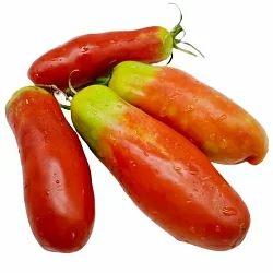  Томат Аурия (6шт)