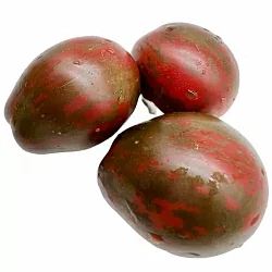  Томат Гном Морские Колокола (Dwarf Maritime Bells) (6шт)