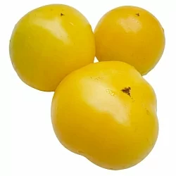  Томат Гном Польский желтый (Dwarf Polish Yellow, США) (6шт)