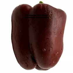 Перец сладкий Сладкий шоколад (Sweet Chocolate, США) (6шт.) Перец сладкий Сладкий шоколад (Sweet Chocolate, США) (6шт.)