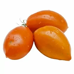  Томат Бронза (Bronza amarillo rusty paste) (6шт)