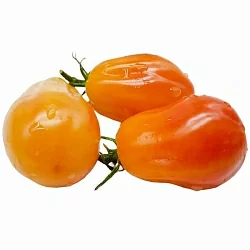  Томат Алматинский тюльпан желтый (Казахстан) (6шт)