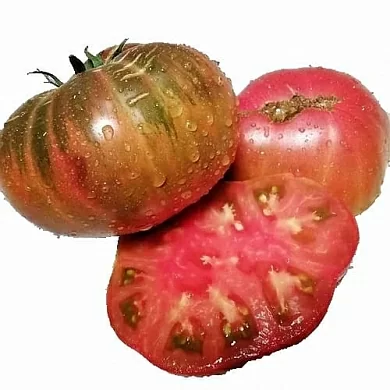 Томат Гном БСП (Dwarf BSP) (6шт)