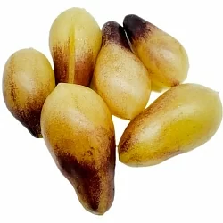  Томат Немецкая оранжевая клубника (German Orange Strawberry, Германия) (6шт)