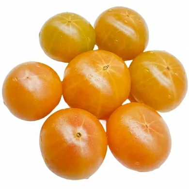 Томат Черри Радуга (Rainbow Cherry) (6шт)