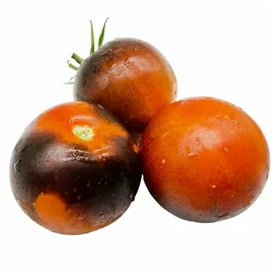 Томат Голубой апельсин (Orange Blue) (6шт)