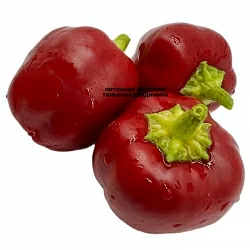 Перец сладкий Мини бел ред (Mini Bell Red) (6шт.) Перец сладкий Мини бел ред (Mini Bell Red) (6шт.)