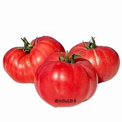 Томат Ванский розовый (6шт)
