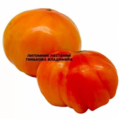 Томат Реликвия Роудс (Rhoades Heirloom, США) (6шт)