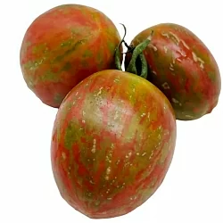  Томат Брюссельский фестиваль (Brussel tomato festival, Франция) (6шт)