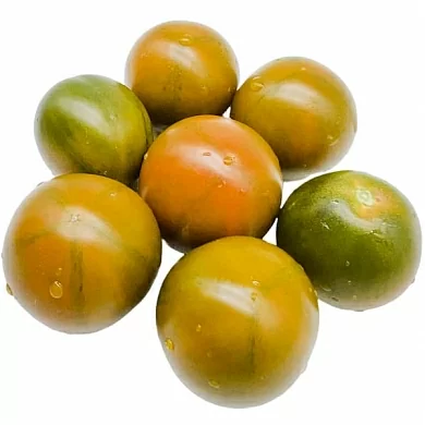 Томат Злая маслина (Olive evil) (6шт)