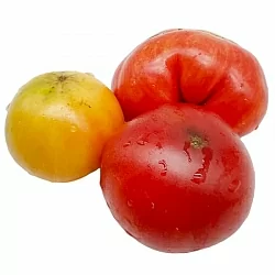  Томат Гном Красотка Сьюзи ( Dwarf Suz’s Beauty, США, Австралия) (6шт)