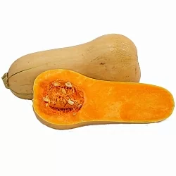 Кабачок мускатный Ореховый (Nutty) (5шт) Кабачок мускатный Ореховый (Nutty) (5шт)