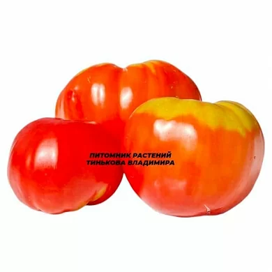 Томат Гигант фемили ред (Gigante family red, Италия) (6шт)