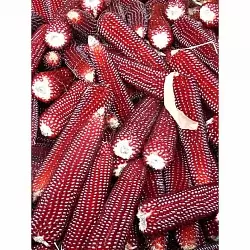 Кукуруза попкорн Рубиновый (Ruby Red Popcorn) (5шт)