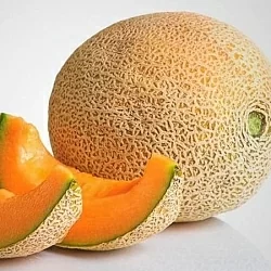 Дыня Юкар F1 (5шт) Дыня Юкар F1 (5шт)