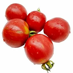 Томат Вернисаж розовый (6шт)