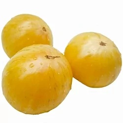  Томат Ананасный поросенок (Pineapple Pig, США) (6шт)