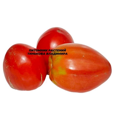 Томат Большой красный Зоре (Zore’s Big Red, США) (6шт)