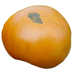 Томат Да Чило оранжевый (Da Chilo Orange, Италия) (6шт)
