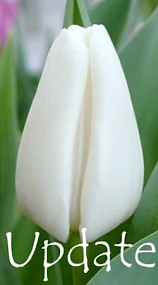  Update