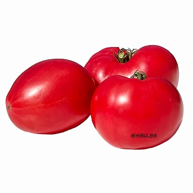 Томат Гном Розовая страсть (Dwarf Pink Passion, Австралия, США) (6шт)
