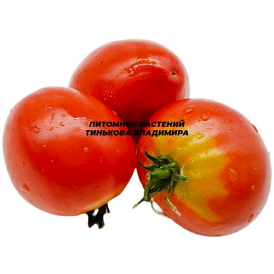 Томат Бабушкин яблошный (6шт)