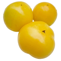  Томат Гном Польский желтый (Dwarf Polish Yellow, США) (6шт)