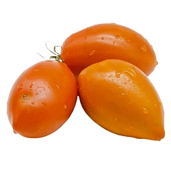  Томат Бронза (Bronza amarillo rusty paste) (6шт)
