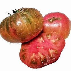  Томат Гном БСП (Dwarf BSP) (6шт)